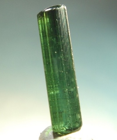 zeleny